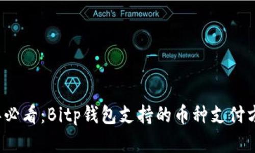 2025年必看：Bitp钱包支持的币种支付方式一览