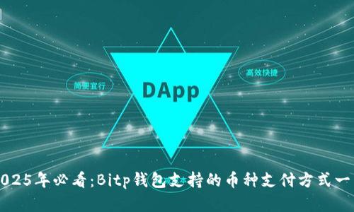 2025年必看：Bitp钱包支持的币种支付方式一览
