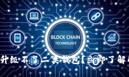 数字钱包升级不了二类钱包？立即了解解决方案！
