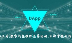 2025必看：数字钱包提现免费攻略，立即掌握省钱