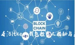 2025必看：BitKeep钱包投资人揭秘与未来展望