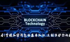 2025必看！掌握加密钱包的基本知识，立刻保护你
