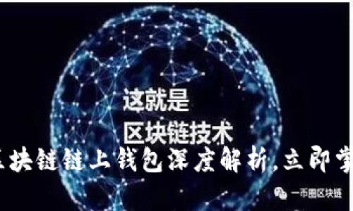 2024年必看：区块链链上钱包深度解析，立即掌握安全与便捷！