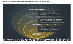 2025必看：BitKeep盘古钱包带你领略数字资产管理新