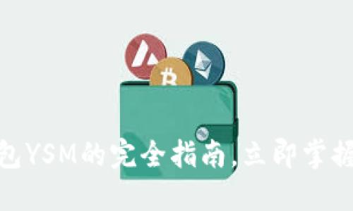 2025必看：数字货币钱包YSM的完全指南，立即掌握安全与便捷的投资方式