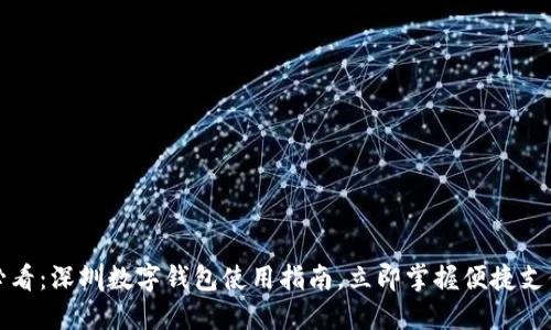 2025必看：深圳数字钱包使用指南，立即掌握便捷支付方式！