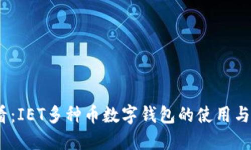 2025必看：IET多种币数字钱包的使用与安全策略