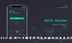 2025必看：深入了解星际钱包区块链的未来与潜力