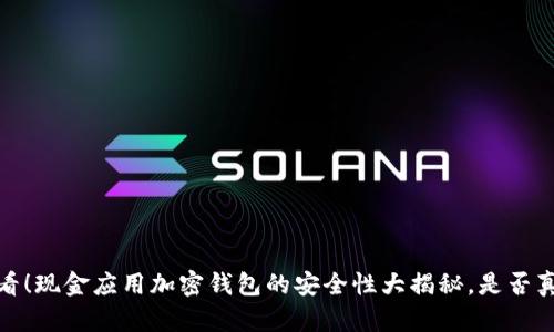 2025必看！现金应用加密钱包的安全性大揭秘，是否真的安全？