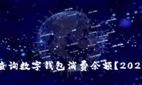 如何立即查询数字钱包消费余额？2025必看指南