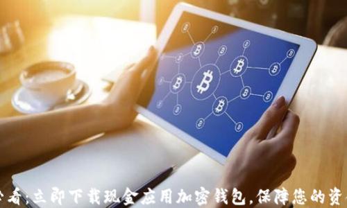 
2025必看：立即下载现金应用加密钱包，保障您的资金安全！