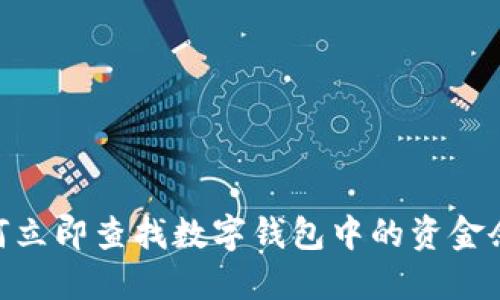 2025必看：如何立即查找数字钱包中的资金余额与交易历史