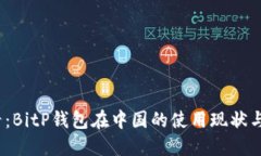 2025必看：BitP钱包在中国的使用现状与未来趋势