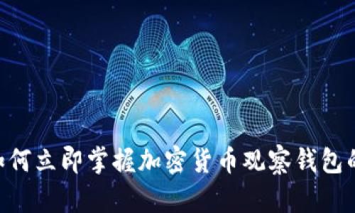 : 2025必看！如何立即掌握加密货币观察钱包的最佳使用技巧