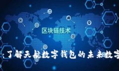 2025必看：了解天航数字钱包的未来数字支付趋势