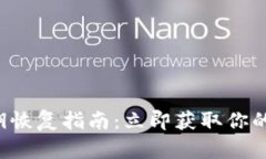 比特派私钥恢复指南：立即获取你的数字资产！