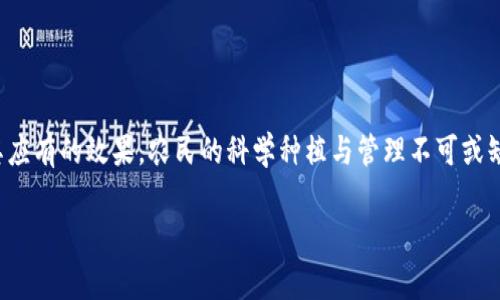 特派种子是中国农业科技领域中涉及的一种种子，通常指的是由某些研究机构或农业公司研发并具备特定优良性状的种子。这些种子经过了严格的筛选和实验，旨在提高农业产量、抗病虫害能力以及适应不同环境的能力。特派种子通常会被应用于农作物种植，帮助农民获得更好的收益。

以下是特派种子的一些特点和应用场景：

1. 特派种子的特点
特派种子通常具有以下几个关键特点：
ul
    listrong高产量：/strong特派种子经过精心选育，能够在相同的种植条件下实现超过传统种子的产量。/li
    listrong抗病虫害：/strong这些种子的抗性特征经过基因改良或传统育种，使其能够抵御常见的病虫害，保证农作物的健康成长。/li
    listrong适应能力强：/strong特派种子经过多代试验，可以适应不同的气候、土壤和环境条件。/li
    listrong营养价值高：/strong某些特派种子还经过改良，能够增强作物的营养成分，满足消费者对健康食品的需求。/li
/ul

2. 应用场景
特派种子的应用场景广泛，主要体现在以下几个方面：
ul
    listrong粮食生产：/strong特别是在稻谷、小麦等主要粮食作物的种植中，特派种子能够大幅度提高产量，保障国家粮食安全。/li
    listrong果蔬种植：/strong特派种子在果树和蔬菜的种植中也得到了应用，帮助农民提升果蔬的产量与品质。/li
    listrong生态恢复：/strong一些特派种子被用来恢复退化的土地，改善土壤质量，从而推动生态保护。/li
/ul

3. 生产过程中的管理
尽管特派种子具有众多优势，但在种植过程中也需要良好的管理以发挥其最大效益：
ul
    listrong土壤管理：/strong合理的施肥和土壤改良是提高特派种子产量的关键。/li
    listrong灌溉管理：/strong根据作物生长阶段合理安排灌溉，保持土壤适宜的湿度。/li
    listrong病虫害防治：/strong即使特派种子具备一定的抗病虫害能力，农民也需要定期检查，及时采取措施防治病虫害。/li
/ul

4. 特派种子的前景与挑战
特派种子的推广与应用无疑为农业带来了许多好处，但在未来也面临不少挑战：
ul
    listrong技术更新：/strong随着科技的进步，特派种子的研发需要不断更新迭代，以适应不断变化的环境条件和市场需求。/li
    listrong农民教育：/strong很多农民对特派种子的了解有限，推广与教育工作仍需加强，以提高种植管理水平。/li
    listrong市场竞争：/strong市场上存在着各种种子，特派种子的竞争同样激烈，企业需要不断创新才能在市场中立足。/li
/ul

结论
特派种子在现代农业中占有重要地位，它的存在不仅提高了农作物的产量，还在保障国家粮食安全、促进经济发展等方面发挥了积极作用。然而，为了使特派种子达到其应有的效果，农民的科学种植与管理不可或缺。同时，科技的不断进步以及市场环境的变化也促使特派种子的研发和应用不断深耕与创新。未来，我们期待特派种子能在更多的农业领域发挥作用，实现可持续发展。

希望以上信息能帮助你更好地理解特派种子的相关情况。如有其他问题或需要更具体的信息，请随时提问！