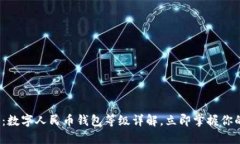 2025必看：数字人民币钱包等级详解，立即掌握你