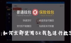 2025必看：如何立即使用BK钱包进行数字资产管理