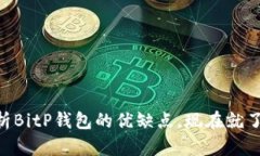 2025必看！分析BitP钱包的优缺点，现在就了解其使