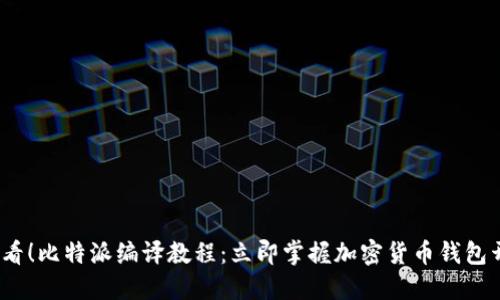 2025必看！比特派编译教程：立即掌握加密货币钱包开发技巧