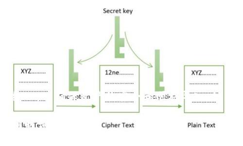 要在BitP中导入资产，您可以按以下步骤进行操作。这些步骤会根据具体的应用程序和版本有所不同，请确保您使用的版本包含相关功能。以下是一般指导：

步骤一：打开BitP应用程序
首先，确保您已在设备上安装了BitP应用程序，并完成注册及登录。启动应用程序后，您将进入主界面。

步骤二：寻找导入资产的选项
在主界面上，寻找“资产管理”或“钱包”部分。在这个部分，通常会有一个“导入资产”或“添加资产”的选项。点击此选项以进入导入界面。

步骤三：选择资产类型
在导入界面中，您需要选择要导入的资产类型。这可能包括比特币、以太坊等不同的加密货币。根据您拥有的资产选择相应的选项。

步骤四：输入资产信息
在选择资产类型后，应用程序将要求您输入相关的信息，例如资产的数量、地址等。一些平台可能还要求您提供私钥或助记词。确保您输入的信息准确无误，尤其是在涉及私钥时，务必小心。

步骤五：确认信息并导入
在填写完所有必须的信息后，审核您输入的内容。确认无误后，点击“确认”或“导入”按钮。系统将开始处理您的请求，并将资产导入到您的BitP账户中。

步骤六：查看导入的资产
导入完成后，您可以返回资产管理界面，检查导入的资产是否成功显示。如果一切正常，您将在账户中看到新导入的资产。

注意事项
在导入资产时，务必注意以下几点：
ul
    li确保您从官方渠道下载的应用程序，避免钓鱼网站和恶意软件。/li
    li在输入私钥或助记词时，务必确认网络安全，尽量避免在公共网络下进行操作。/li
    li备份好您的助记词和私钥，以防丢失或被盗。/li
/ul

总结
通过上述步骤，您可以顺利地将资产导入到BitP中。每一步都需要耐心和细心，以确保资产的安全和顺利导入。如有进一步问题，您可以查阅BitP官方的帮助文档或联系客服支持。 

希望以上信息能对您有所帮助，如有其他问题或需要更详细的指导，欢迎随时询问！