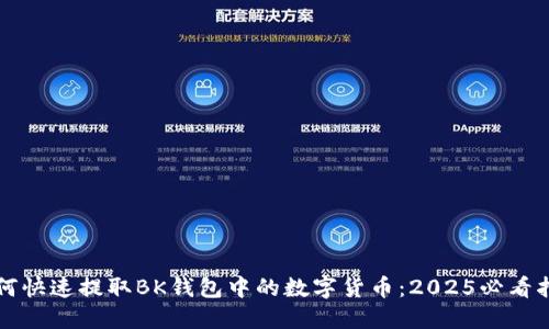 如何快速提取BK钱包中的数字货币：2025必看指南