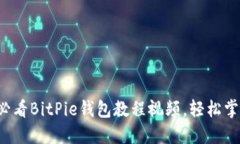 立即下载：2025必看BitPie钱包教程视频，轻松掌握