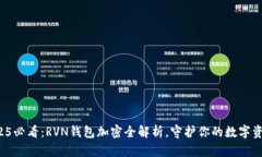 2025必看：RVN钱包加密全解析，守护你的数字资产