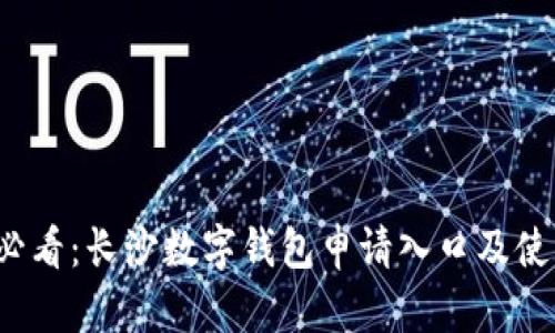 2025必看：长沙数字钱包申请入口及使用指南