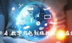 2025必看：数字钱包到账技巧，现在就学会！