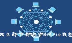 2025必看！如何立即下载安装BitPie钱包及其使用指