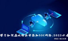 立即学习如何在比特派中添加BSC网络：2025必看教