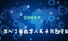 2025必看：深入了解数字人民币钱包等级及其意义