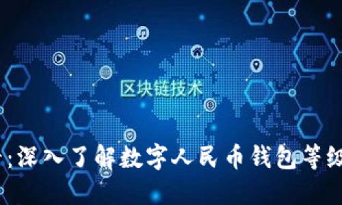 2025必看：深入了解数字人民币钱包等级及其意义