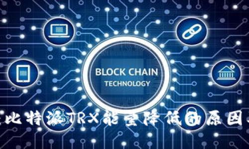 2025必看：比特派TRX能量降低的原因及应对策略