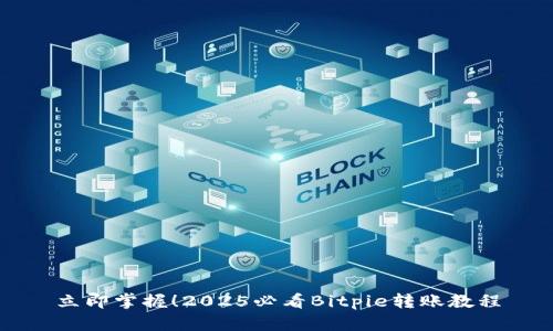 立即掌握！2025必看Bitpie转账教程