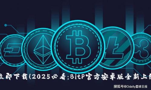 立即下载！2025必看：BitP官方安卓版全新上线