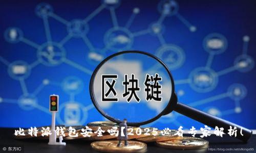 比特派钱包安全吗？2025必看专家解析！