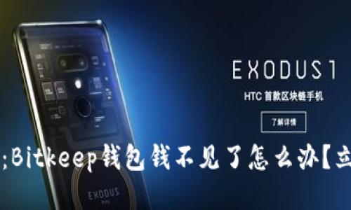 ### 2025必看：Bitkeep钱包钱不见了怎么办？立即采取这些措施！