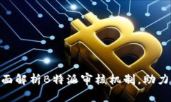 2025必看：全面解析B特派审核机制，助力企业合规