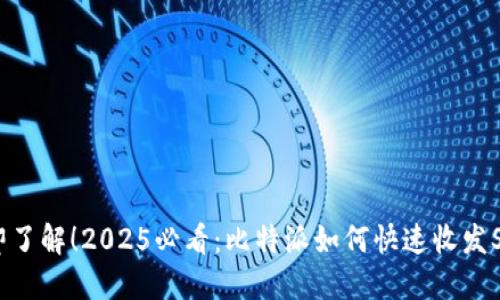 立即了解！2025必看：比特派如何快速收发SHIB