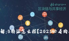 立即了解：B特派怎么样？2025必看购买指南！