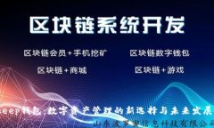 Bitkeep钱包：数字资产管理的新选择与未来发展前