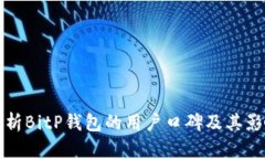 全面解析BitP钱包的用户口碑及其影响因素