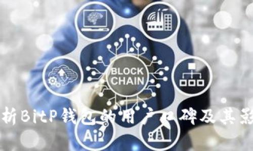 全面解析BitP钱包的用户口碑及其影响因素