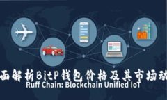 全面解析BitP钱包价格及其市场动态
