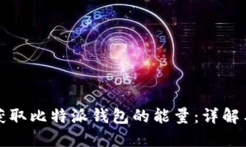 如何获取比特派钱包的能量：详解与指导