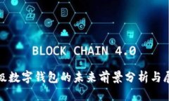 超级数字钱包的未来前景分析与展望