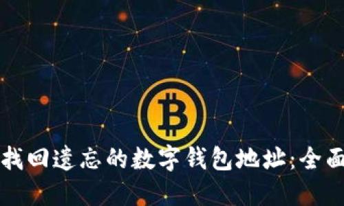 如何找回遗忘的数字钱包地址：全面指南